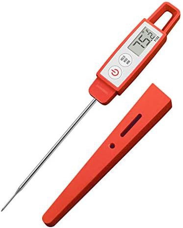 Pt09 commercial sambal long probe thermometer