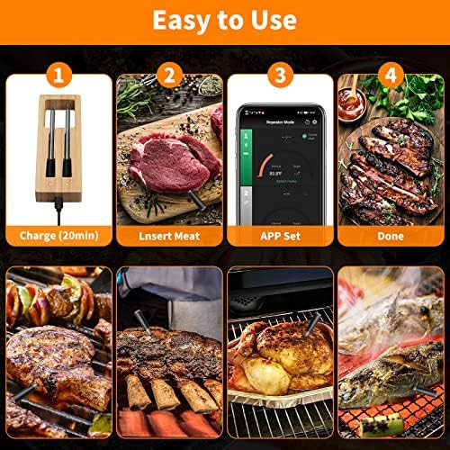 Wireless Bluetooth Dual Probe Smart Thermometer — photo 5