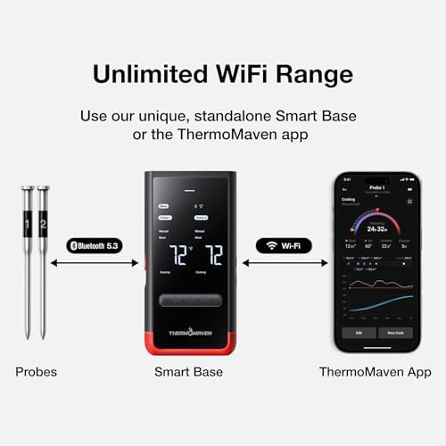 WiFi Wireless Dual Probe Smart Thermometer — photo 3