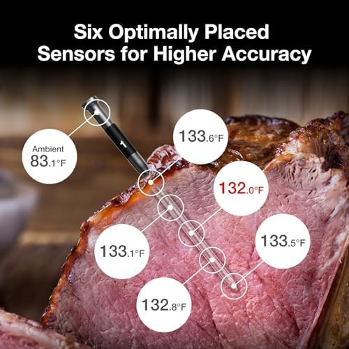 WiFi Wireless Dual Probe Smart Thermometer — photo 4