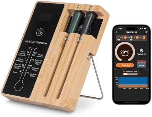 Smart meat thermometer with two probes and booster