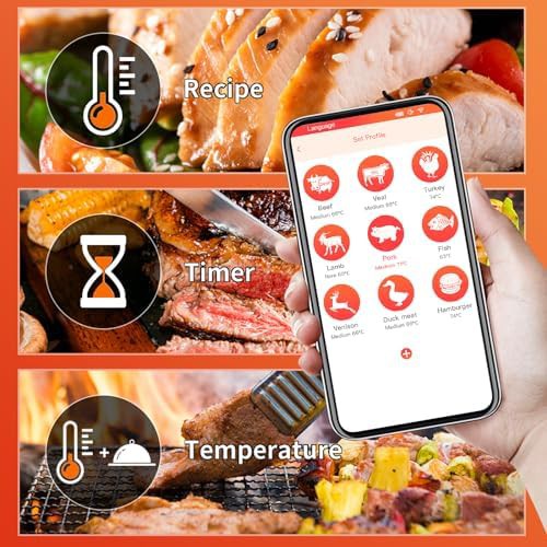Remote Monitoring Wireless Smoker Alarm Thermometer — photo 4