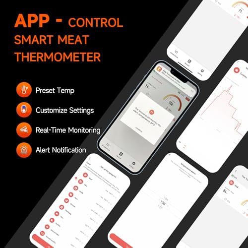 Small Wireless Bluetooth Rotisserie Temperature Monitor — photo 3