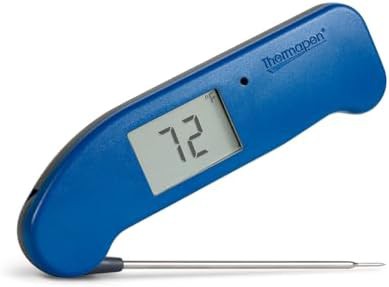 Nautical blue high speed digital thermometer