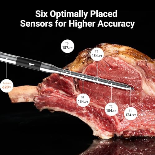 WiFi Wireless Four Probe Smart Thermometer — photo 3