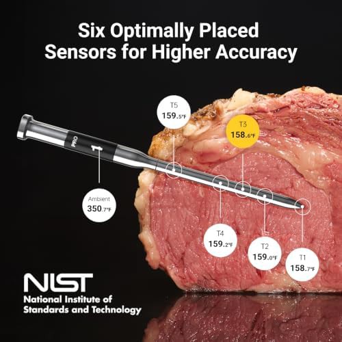 WiFi Dual Probe Wireless Grill Thermometer — photo 5