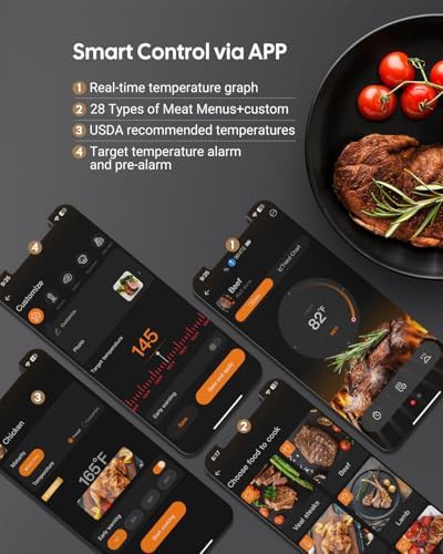 Dual Probe WiFi Wireless Smoker Thermometer — photo 5