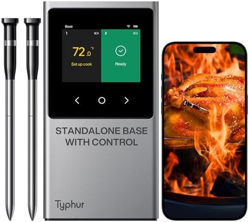 Wireless WiFi thermometer with two thin probes