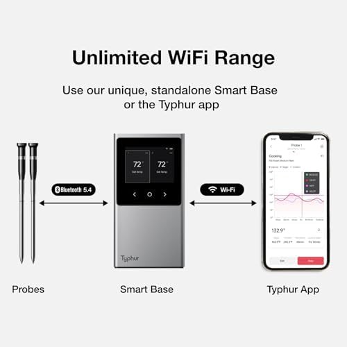 Wireless WiFi thermometer with two thin probes — photo 3