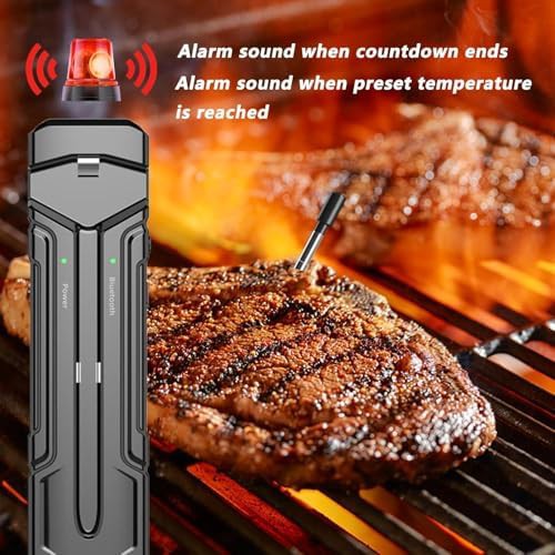 Wireless Bluetooth Meat Thermometer with App — photo 4
