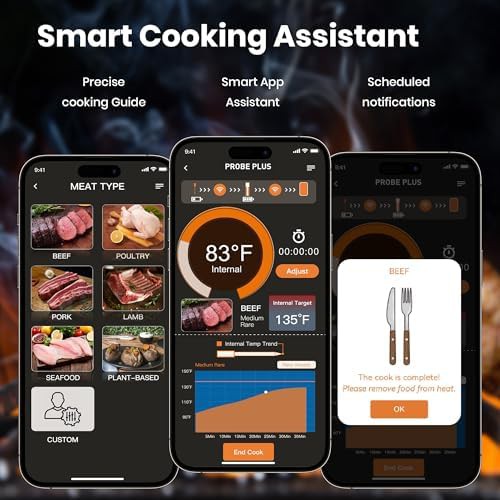 Four probe wireless bluetooth smart thermometer — photo 4