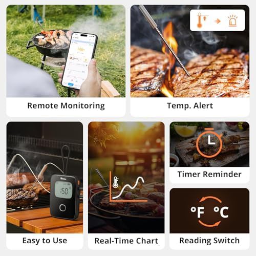 Dual Probe Wireless Smoker Thermometer — photo 3