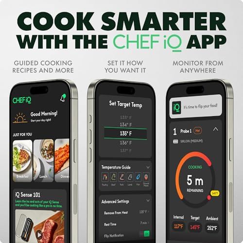 CHEF iQ Sense WiFi single probe thermometer — photo 3