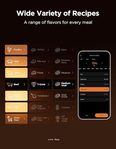 Bluetooth app alerts grill meat thermometer — photo 5