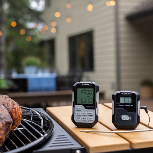 Long Range Dual Probe Remote Monitor — photo 4