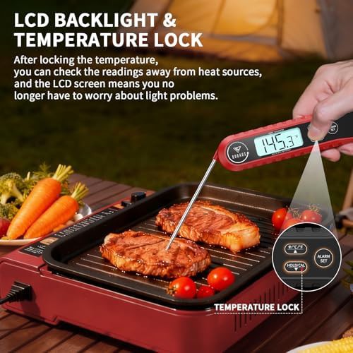 Dual Probe Digital Oven Thermometer — photo 4