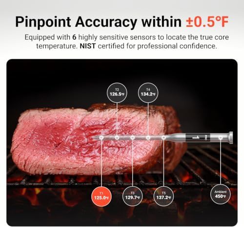 Smart WiFi Grilling Thermometer with Dual Probes — photo 3